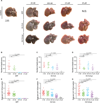 A rotifer-derived paralytic compound prevents transmission of schistosomiasis to a mammalian host