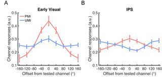 Different states of priority recruit different neural representations in visual working memory